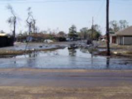 View south from Judge Perez after Murphy Oil spill